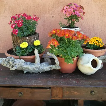 Farma Agriturismo Sasso Rosso *