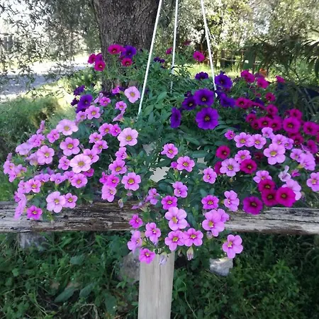 Agriturismo Sasso Rosso Farma