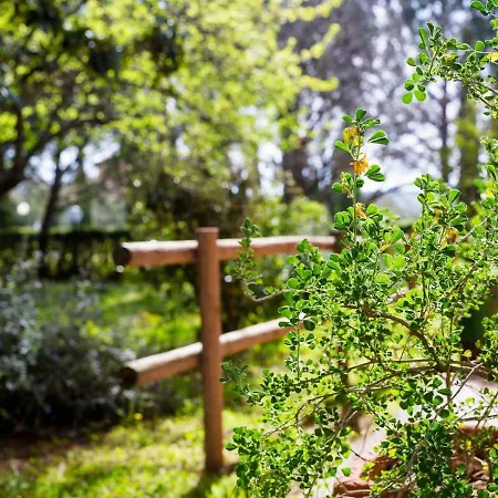 Agriturismo Sasso Rosso Farma